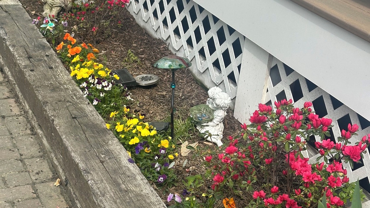 Photo of Outdoor in Woolford
