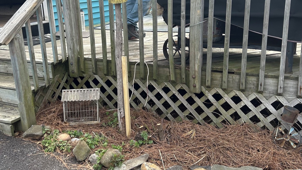 Photo of Outdoor in Bowers Beach