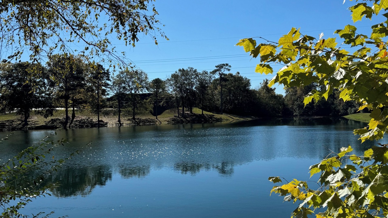 Photo of Outdoor in Cullman