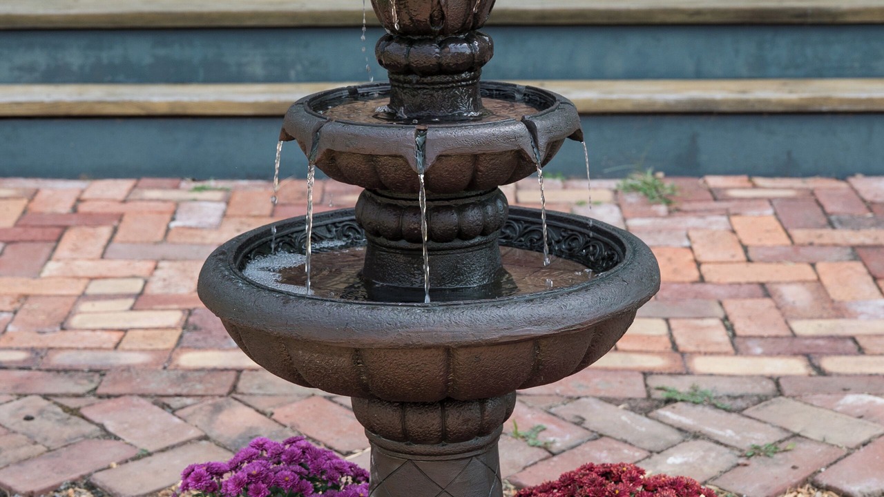 Photo of Outdoor in Lexington