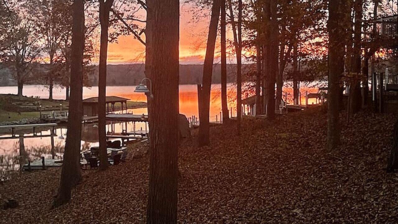 Photo of Outdoor in Livingston