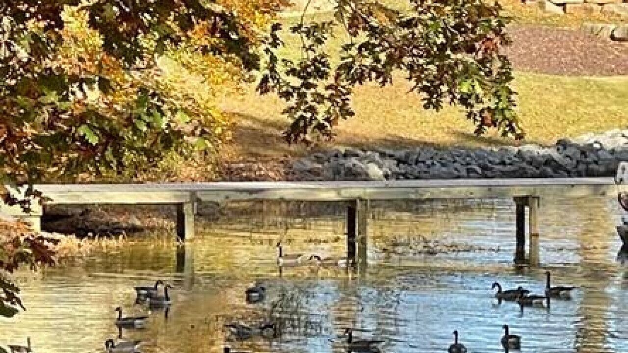 Photo of Others in Livingston