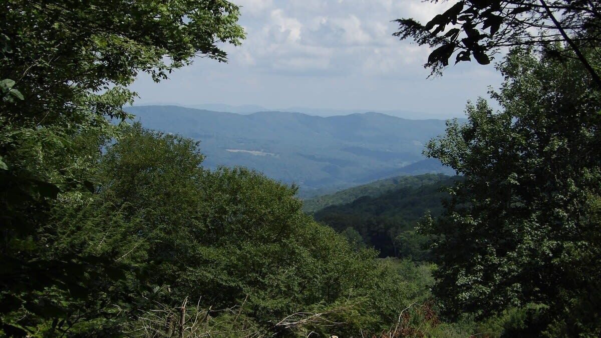 Photo of Others in Charter Hills