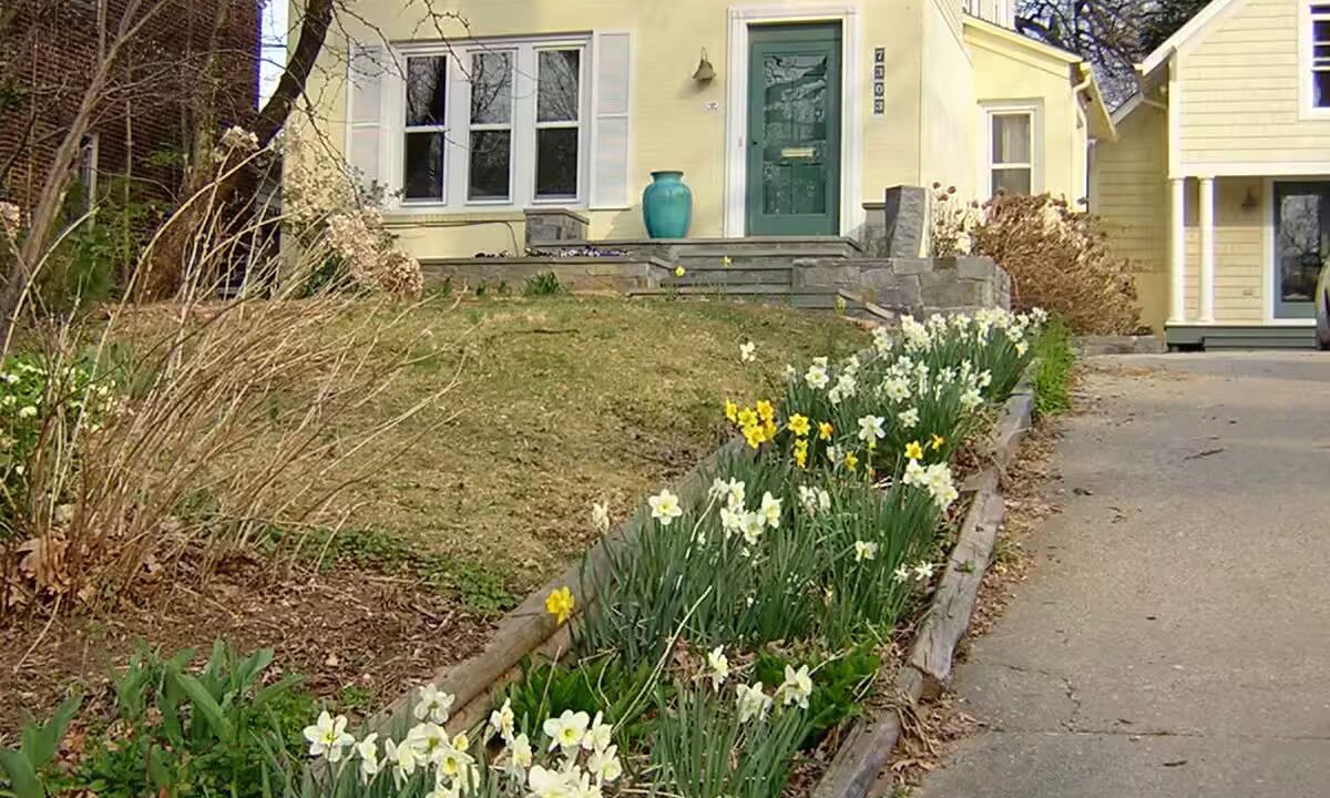 Photo of Outdoor in Takoma Park