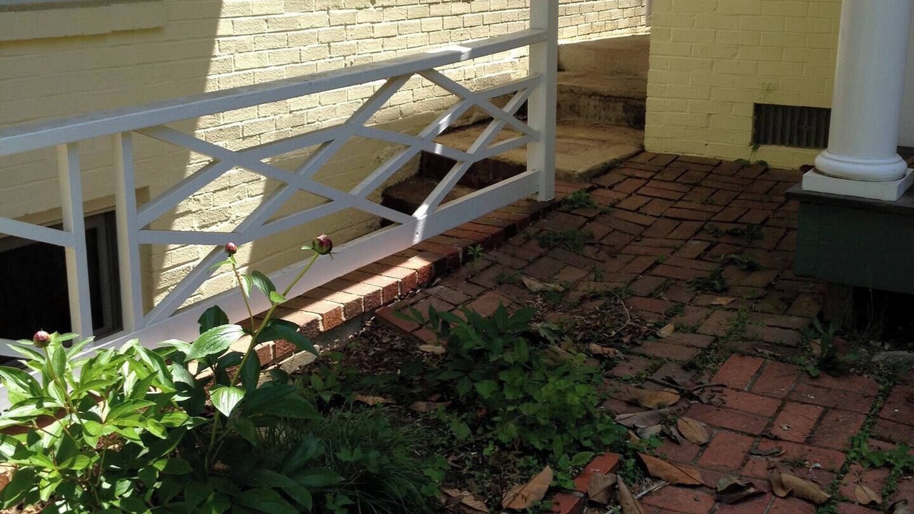 Photo of Outdoor in Takoma Park