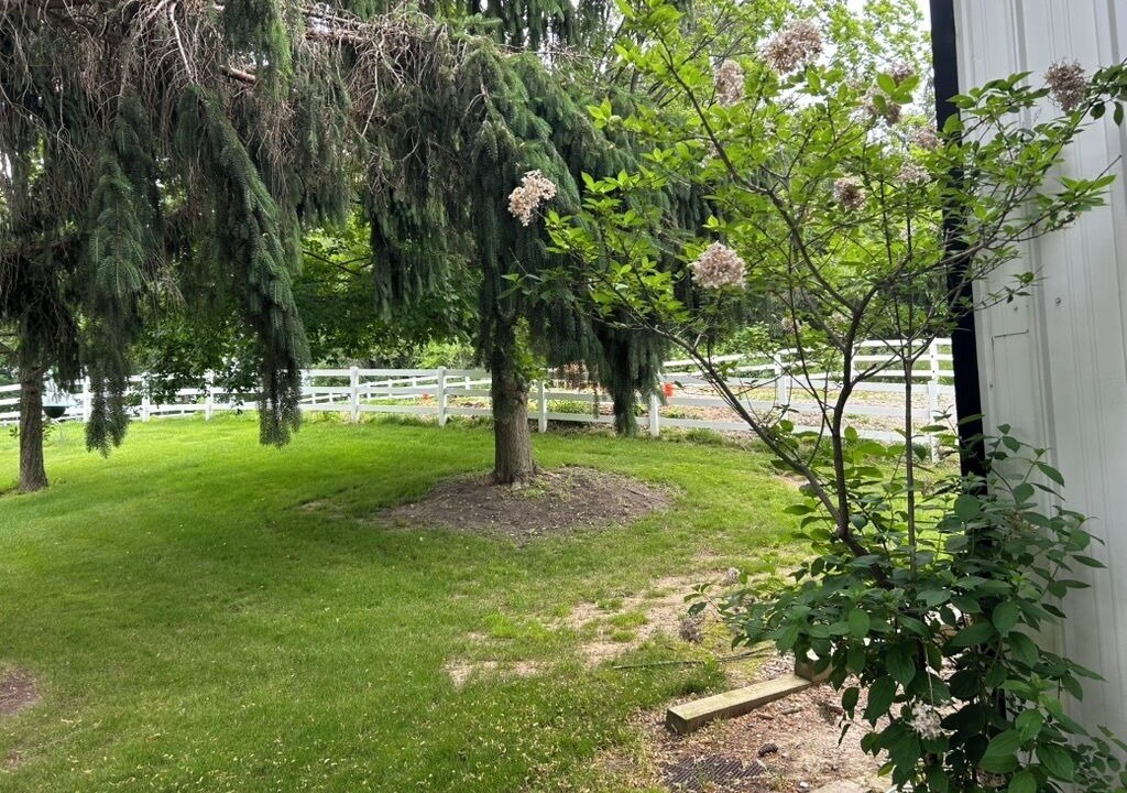 Photo of Outdoor in Iowa City