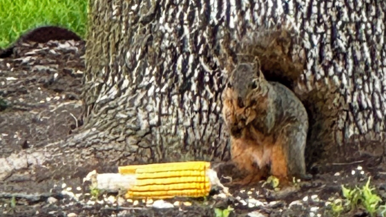 Photo of Others in Mapleton
