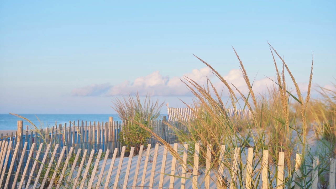 Photo of Others in Cape May