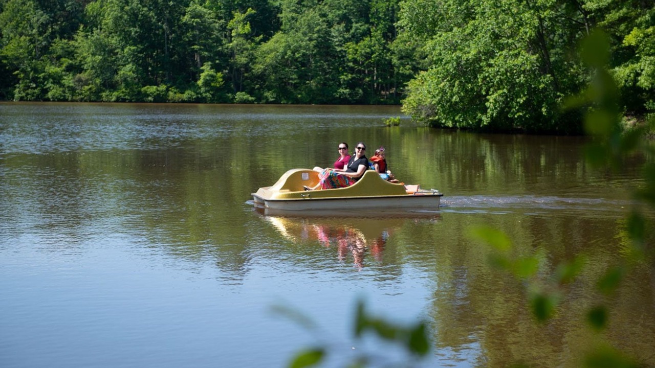 Photo of Others in Spotsylvania