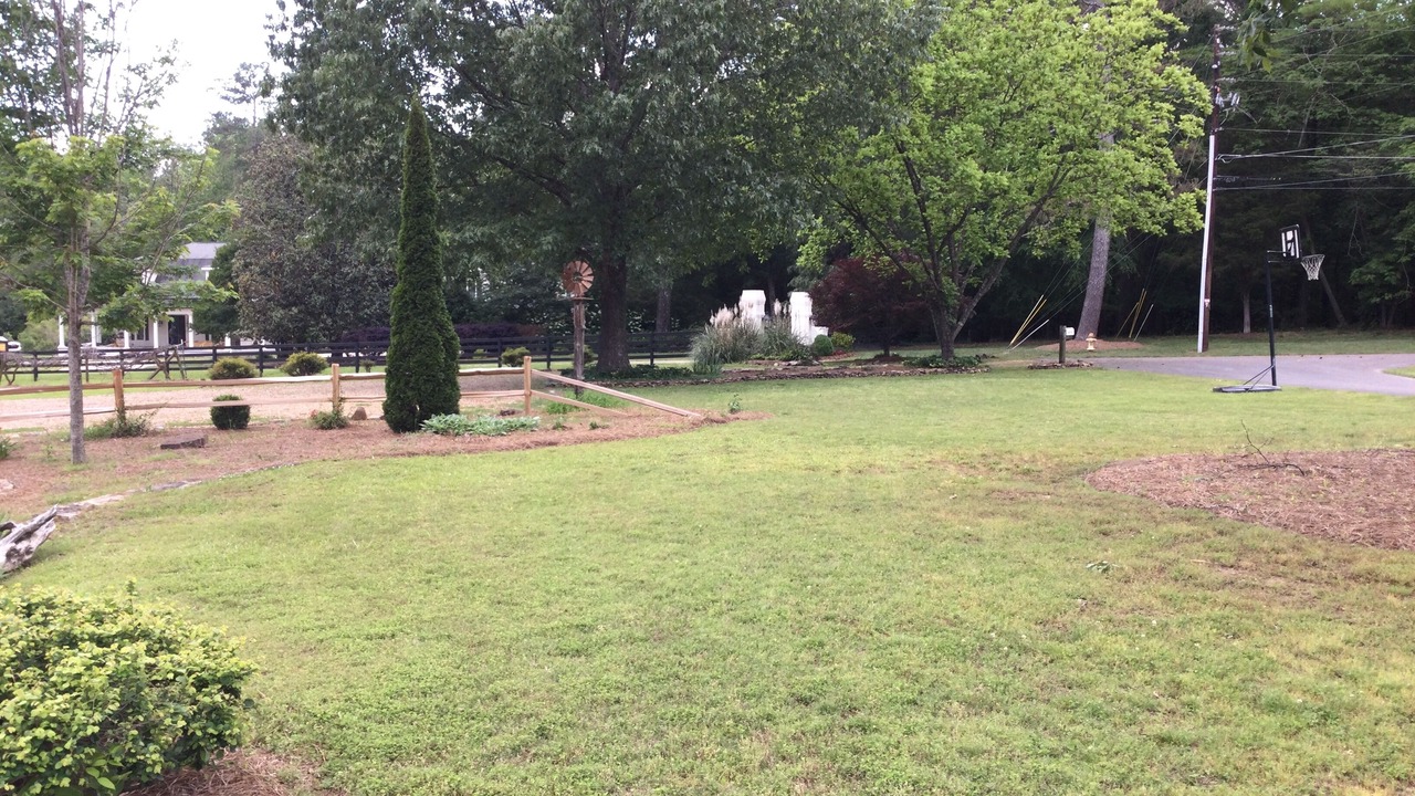 Photo of Outdoor in Rome