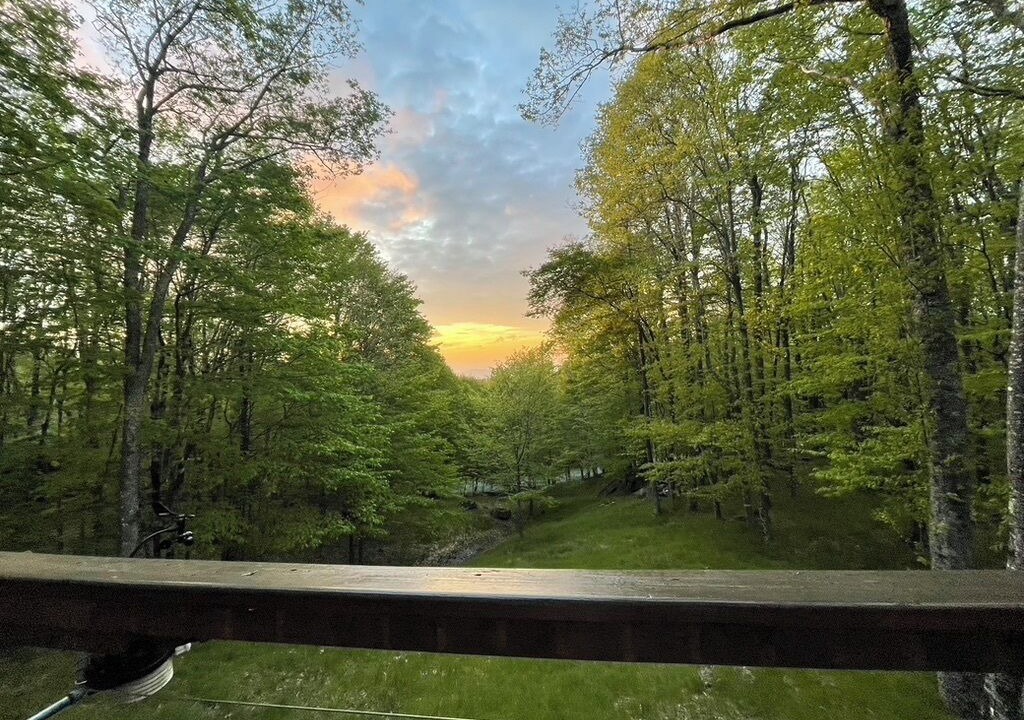 Photo of Outdoor in Charter Hills