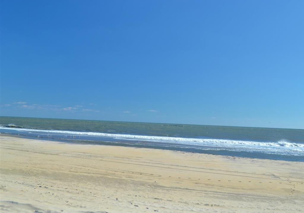 Photo of Others in North Beach Haven
