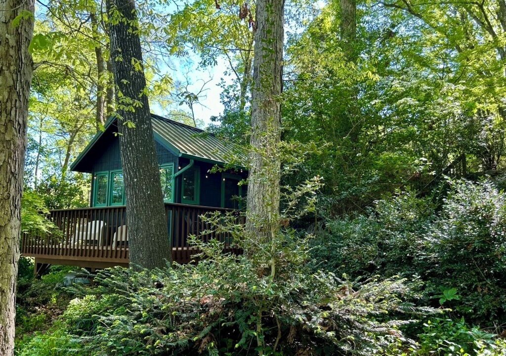 Photo of Outdoor in Chapel Hill