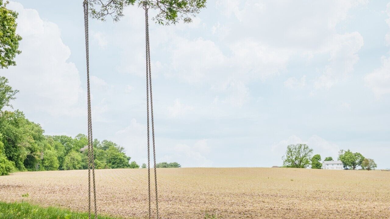 Photo of Others in Lewisville