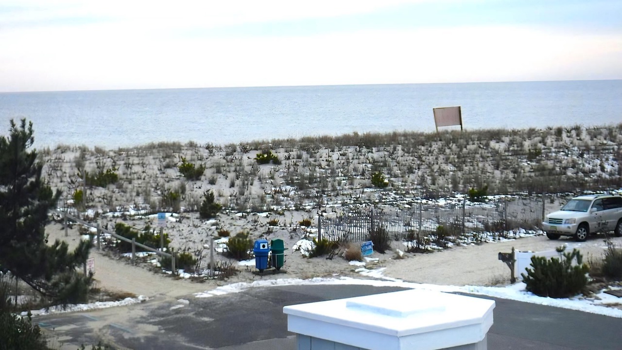 Photo of Others in Harvey Cedars