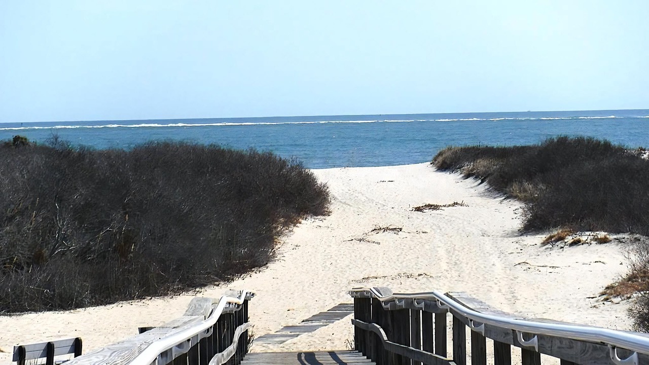 Photo of Others in Barnegat Light