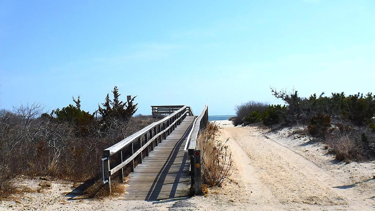 Photo of Others in Barnegat Light