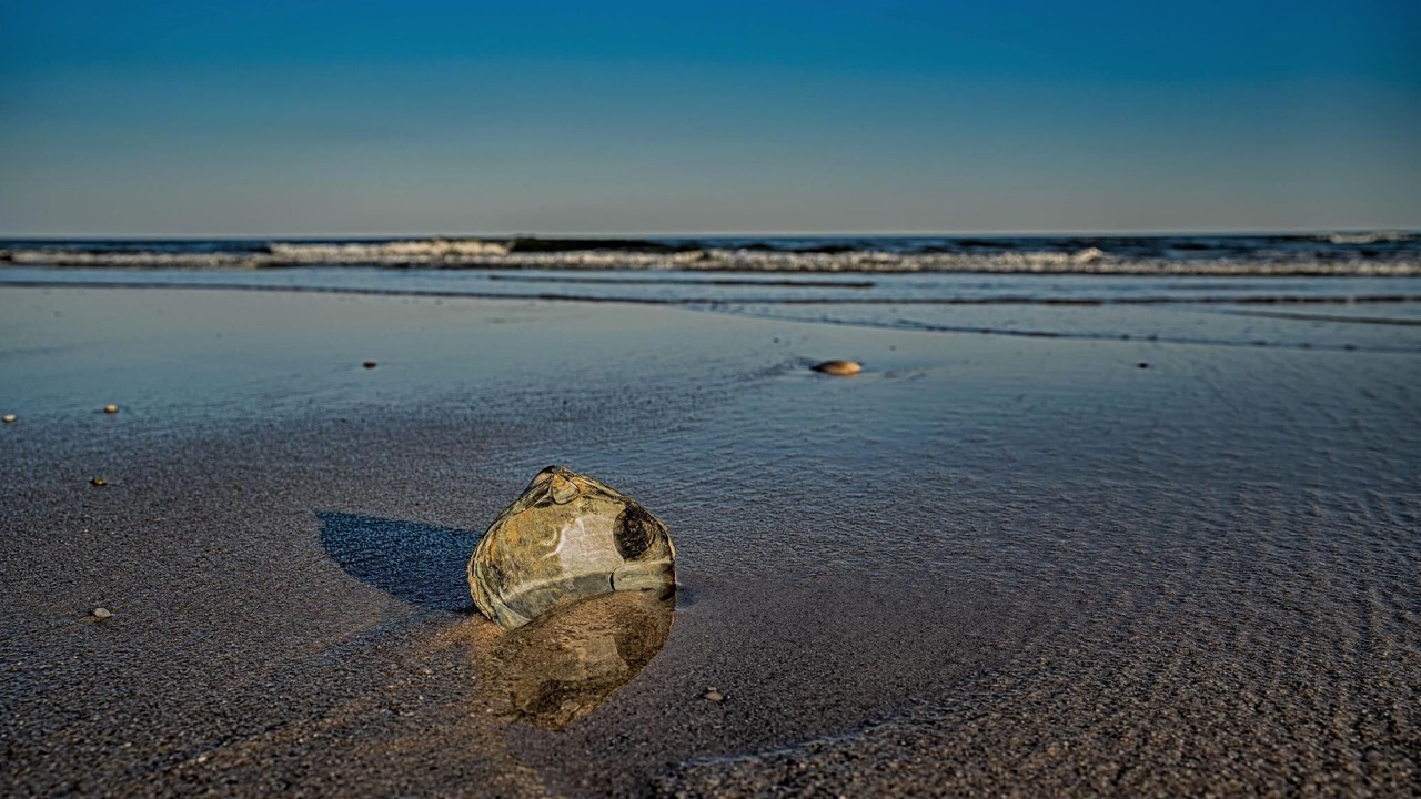 Photo of Others in Seaside Heights