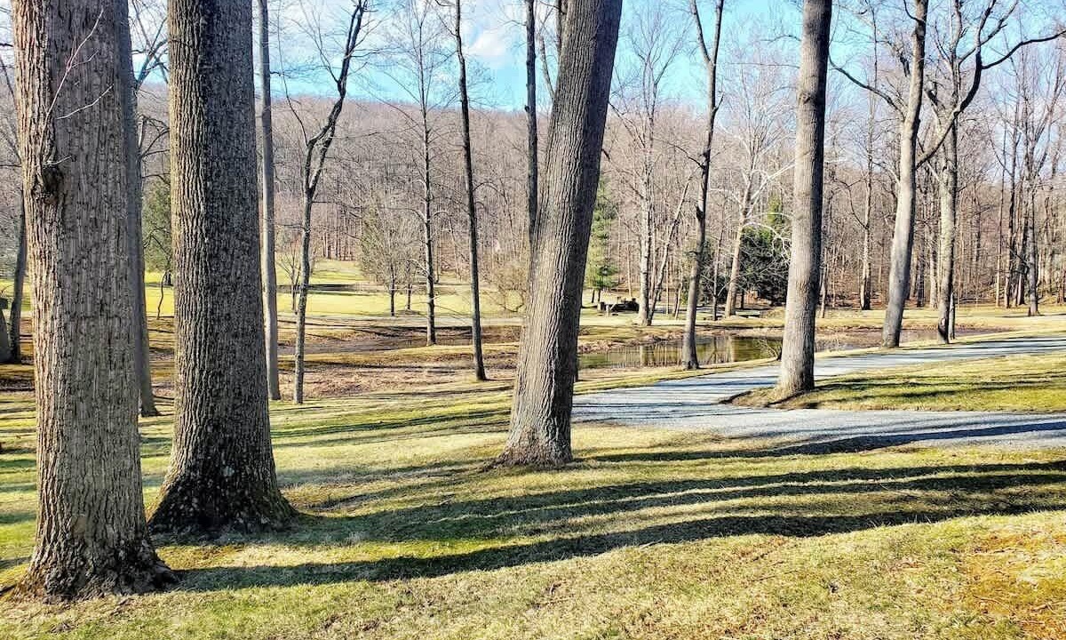 Photo of Others in Tuscarora