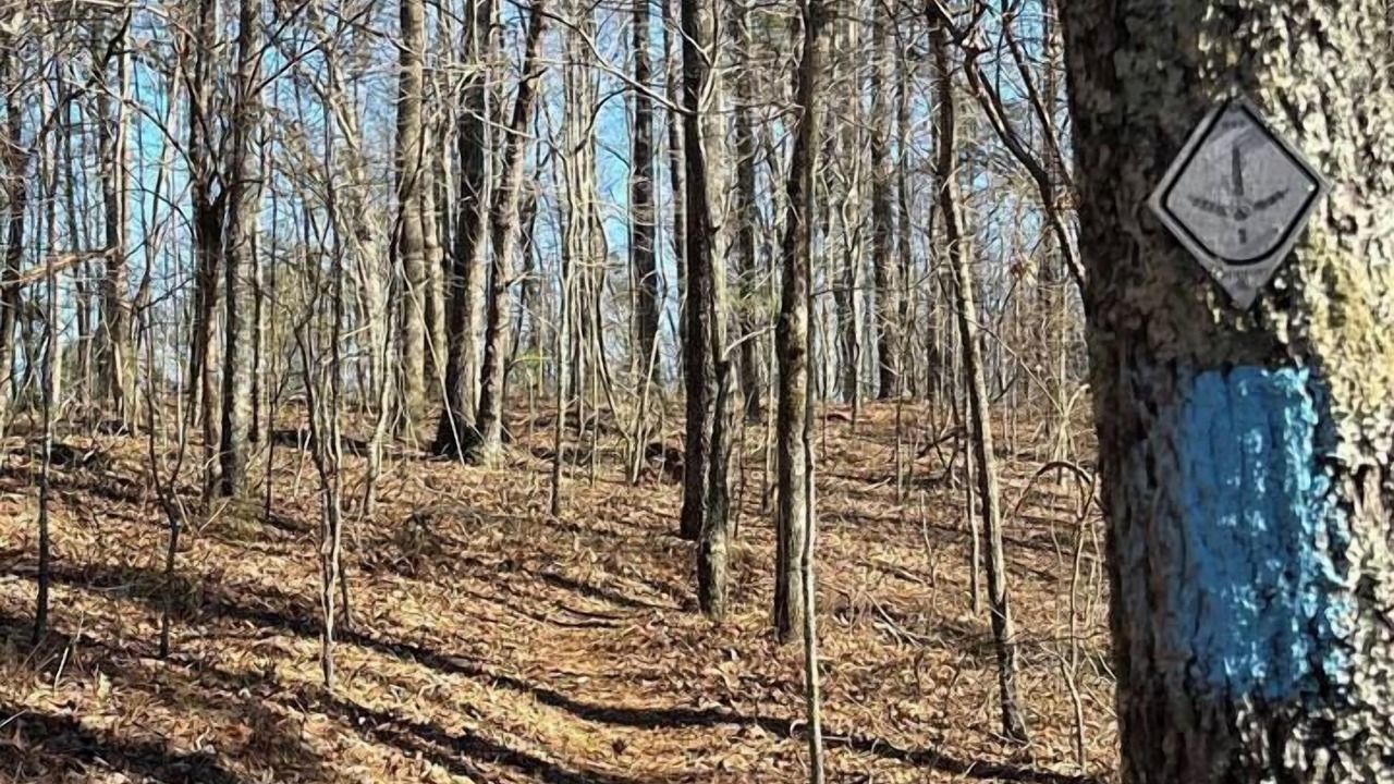 Photo of Others in Talladega