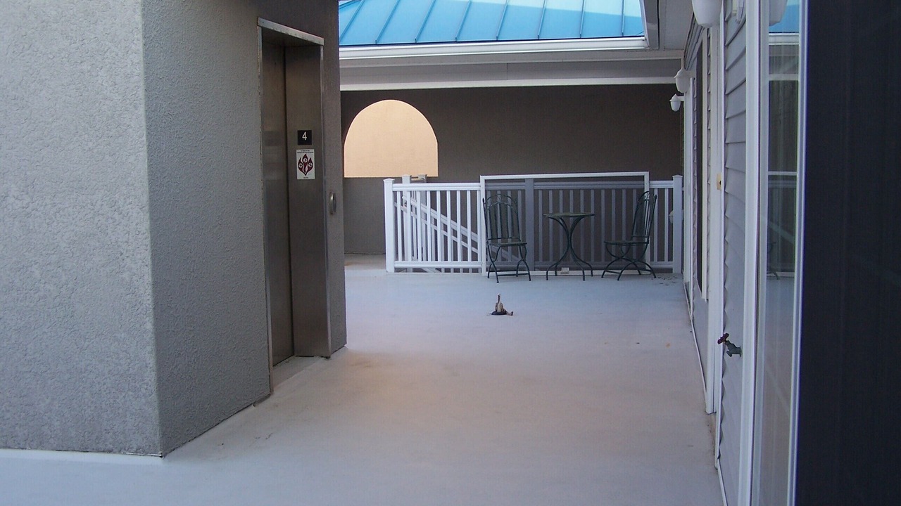 Photo of Others in North Wildwood