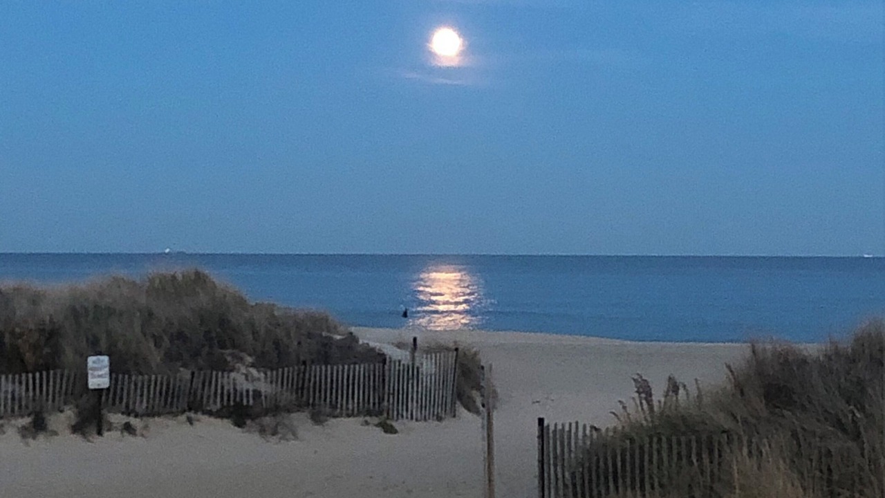 Photo of Others in Belmar