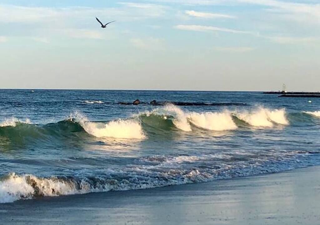 Photo of Others in Belmar