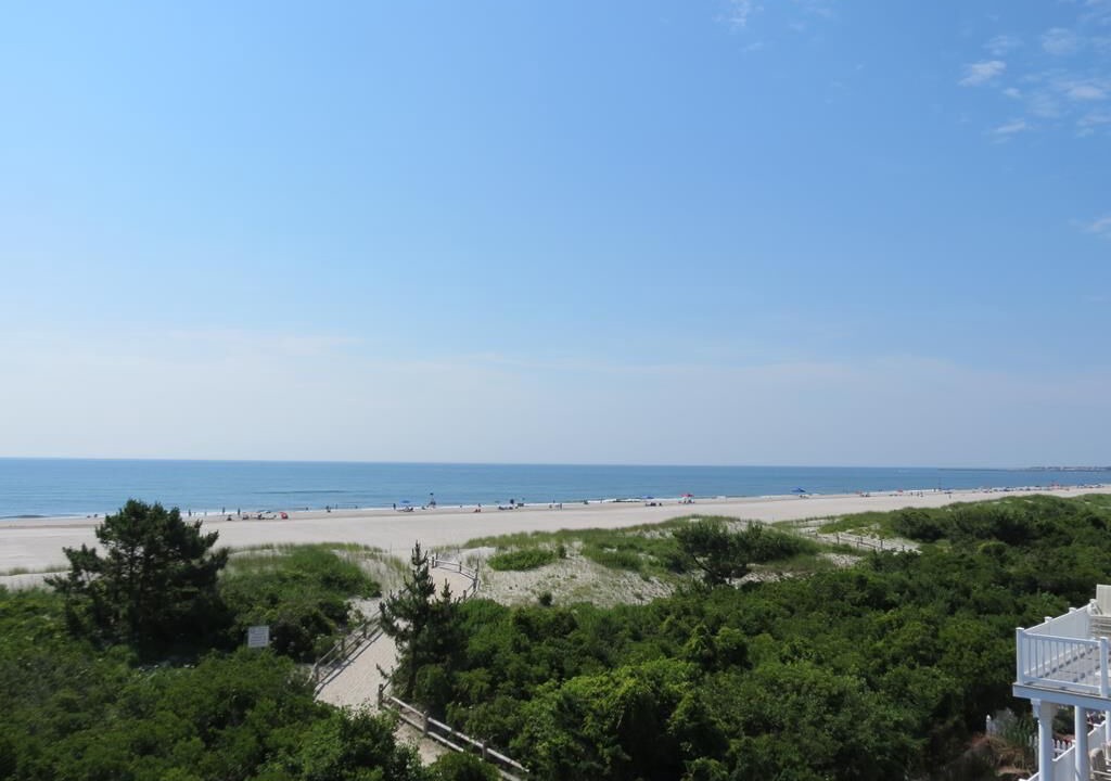 Photo of Others in Townsend's Inlet