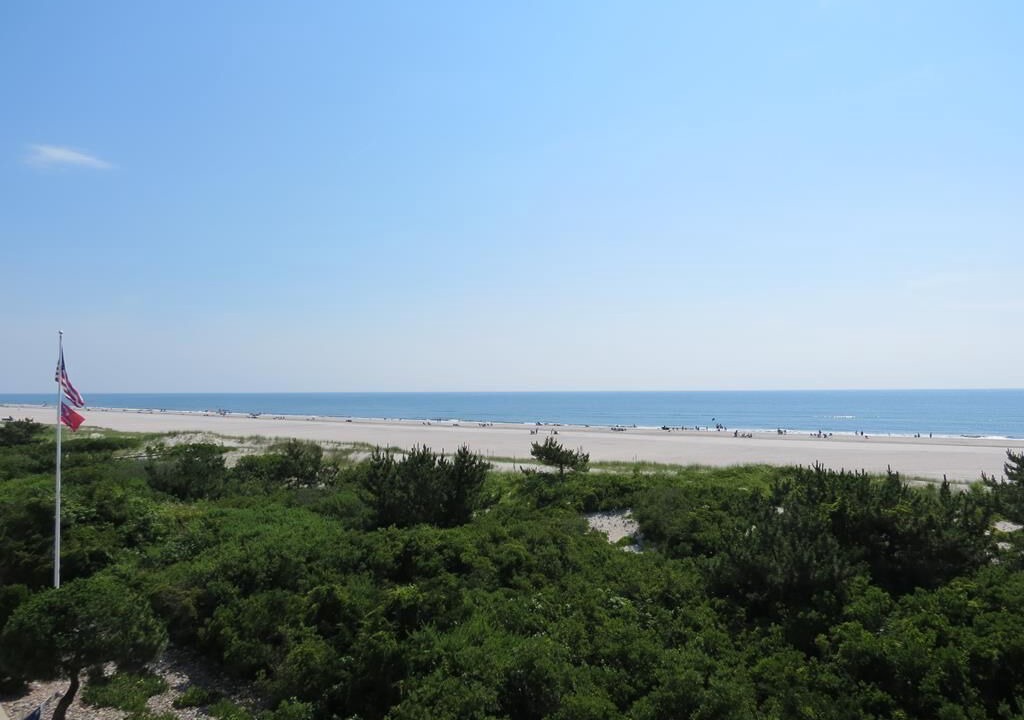 Photo of Others in Townsend's Inlet