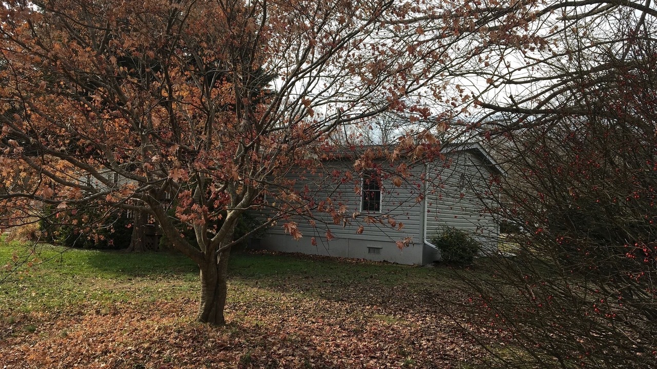 Photo of Outdoor in Lewes