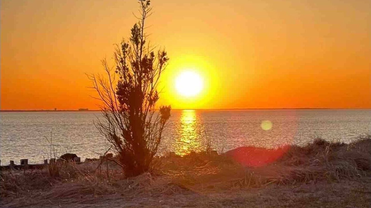 Photo of Others in Sea Bright