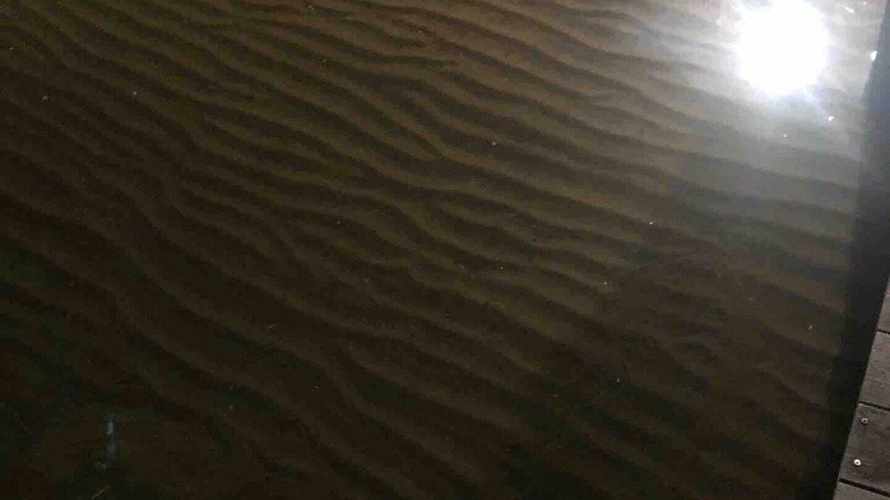 Photo of Others in Sea Bright