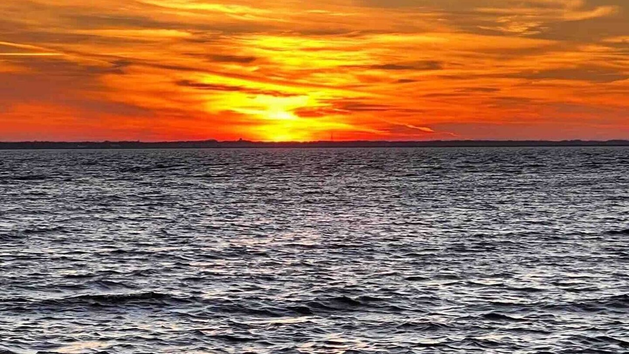 Photo of Others in Sea Bright