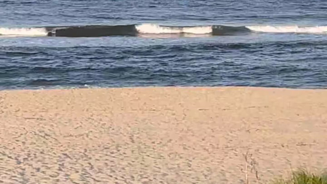 Photo of Others in Sea Bright