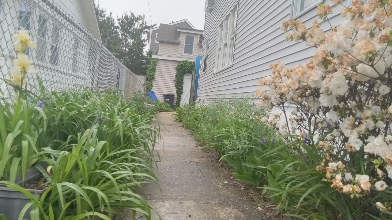 Photo of Outdoor in Ship Bottom
