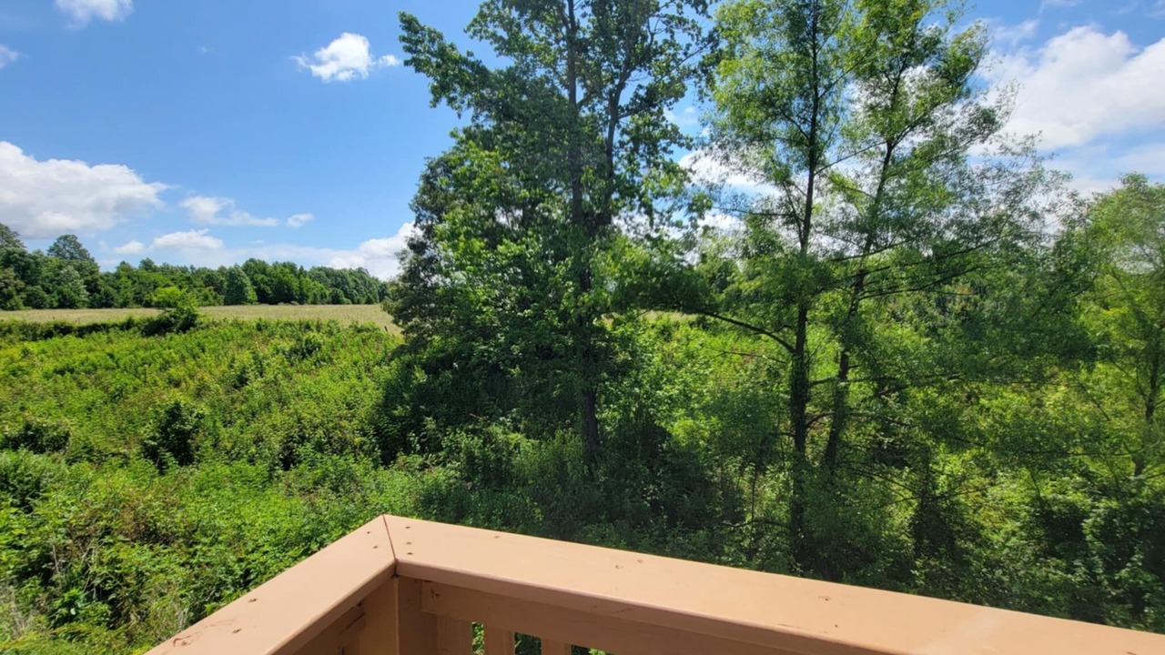 Photo of Outdoor in Higdon
