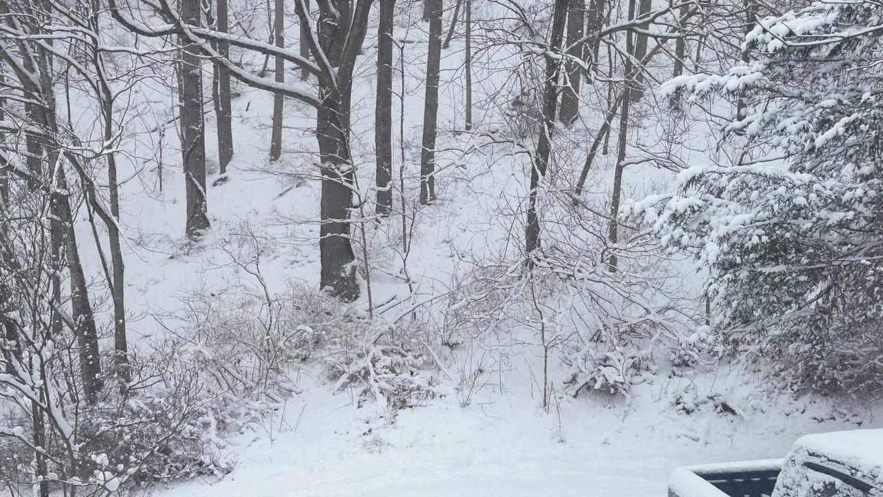 Photo of Outdoor in Sugar Grove