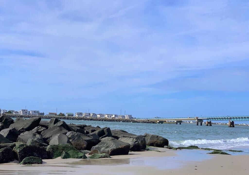 Photo of Others in Townsend's Inlet