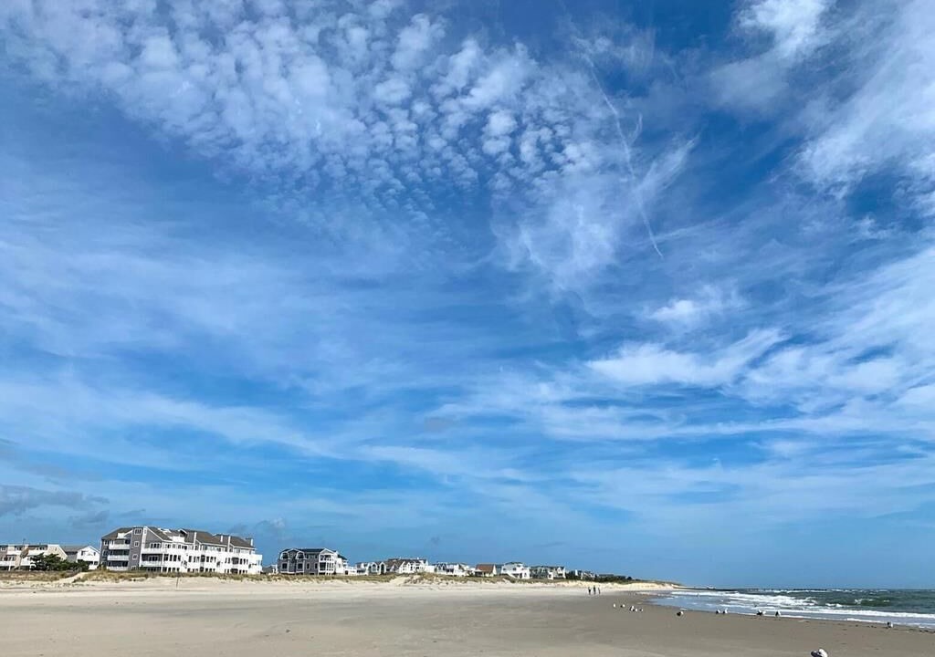 Photo of Others in Townsend's Inlet