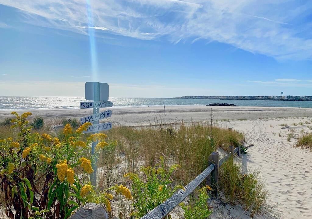 Photo of Others in Townsend's Inlet