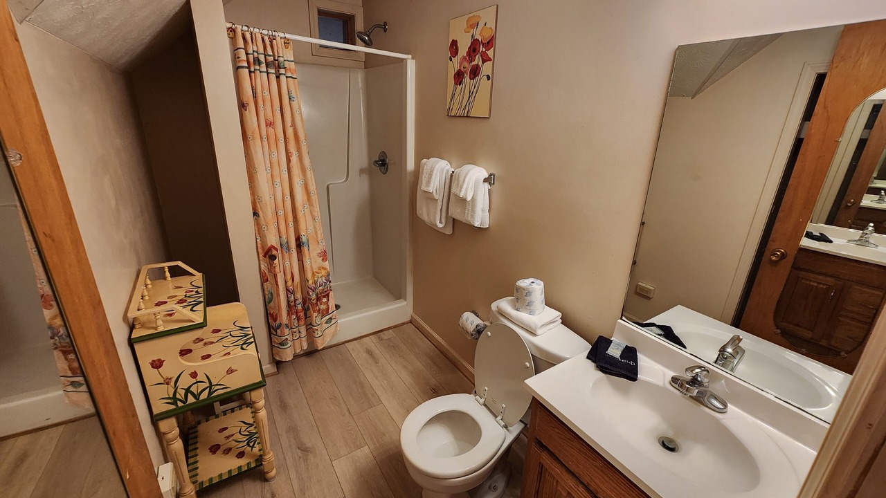 Photo of Bathroom in Pine Mountain
