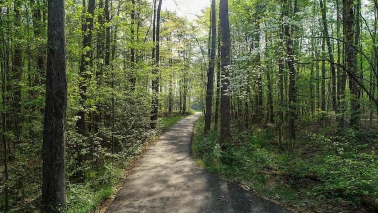 Photo of Others in Bumpass