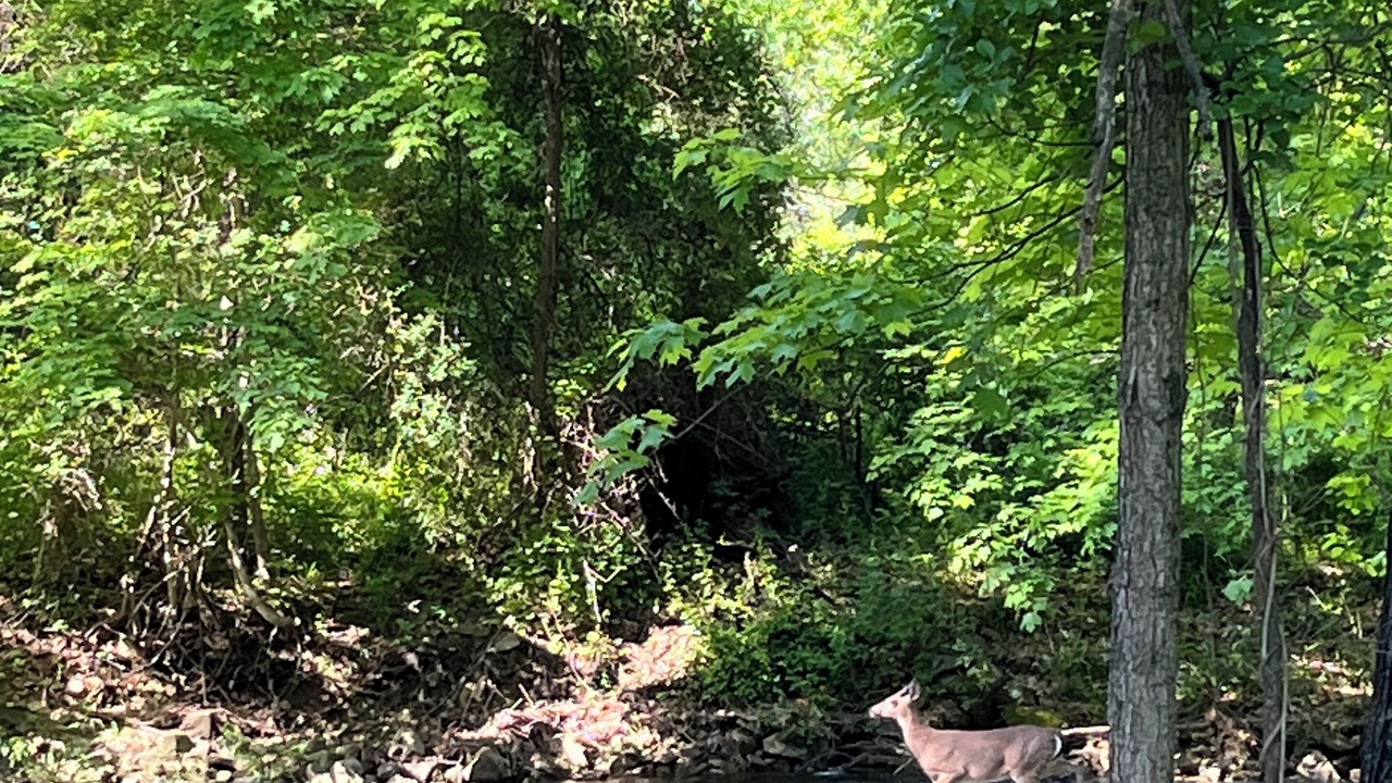 Photo of Others in Carroll Valley