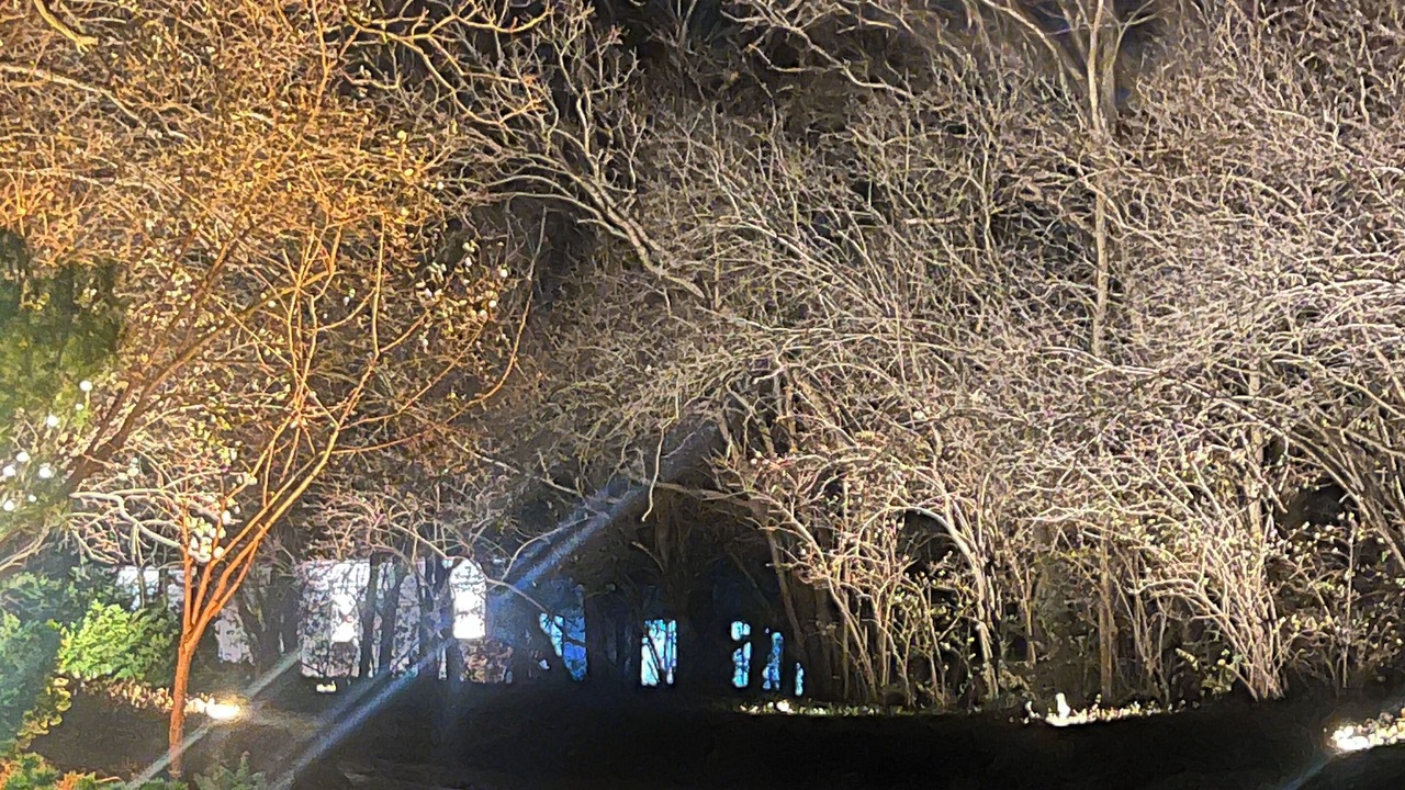 Photo of Outdoor in Solon Mills