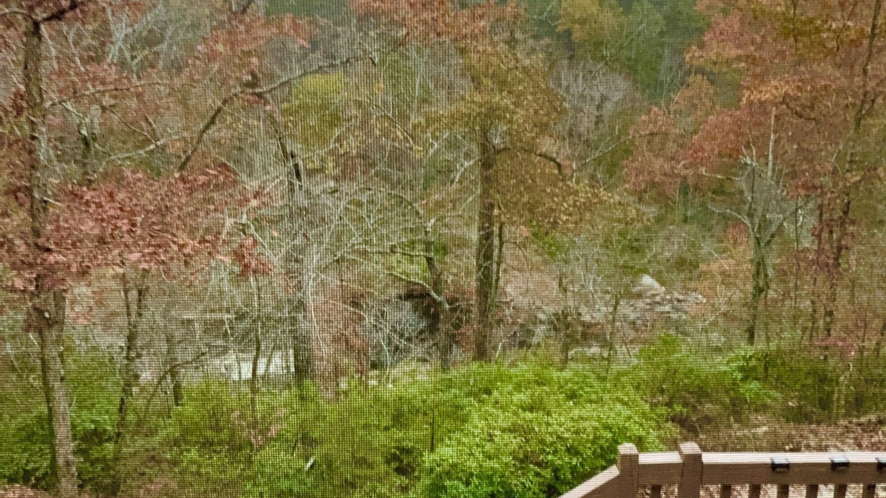 Photo of Others in Mentone