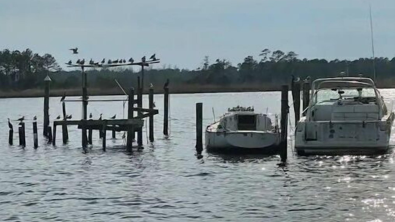 Photo of Others in Jacksonville