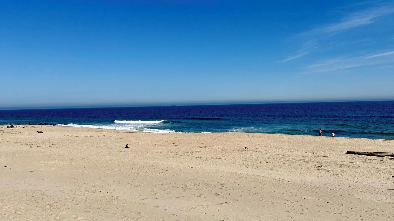 Photo of Others in Long Branch