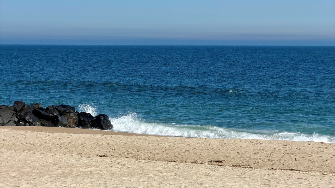 Photo of Others in Long Branch