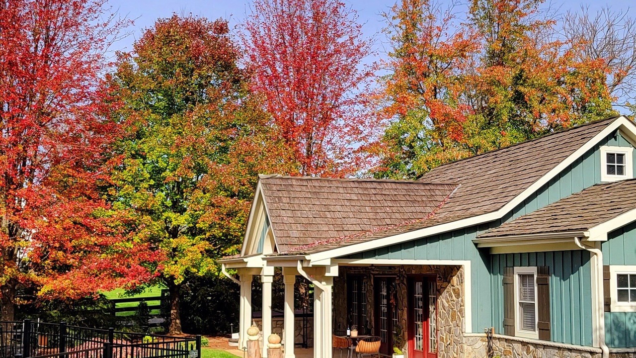 Photo of Outdoor in Hamilton