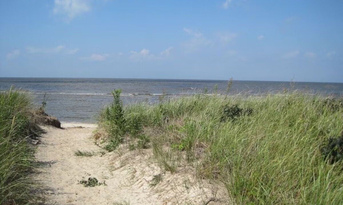 Photo of Others in Del Haven